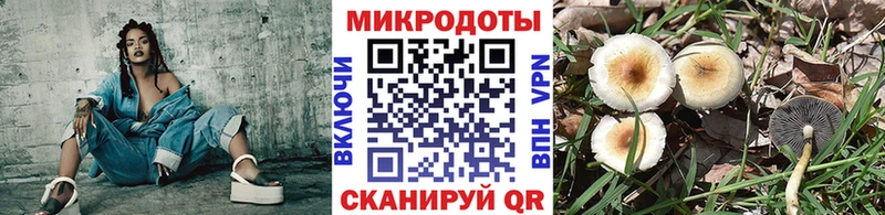 Псилоцибиновые грибы прущие грибы  что такое наркотик  Нягань 